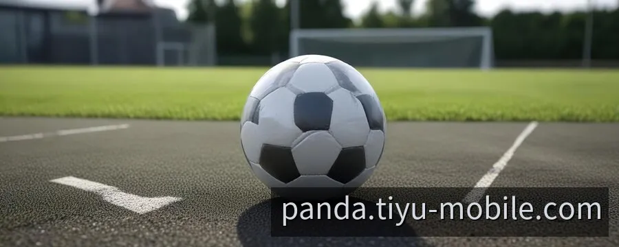 熊猫平台移动端全景体验与应用界面总览
